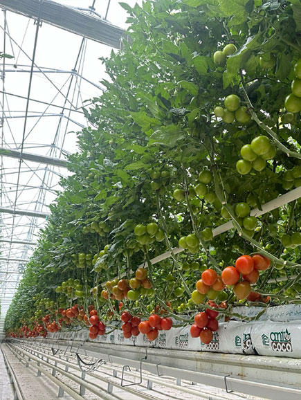 Karya Doğal Tarım Seracılık