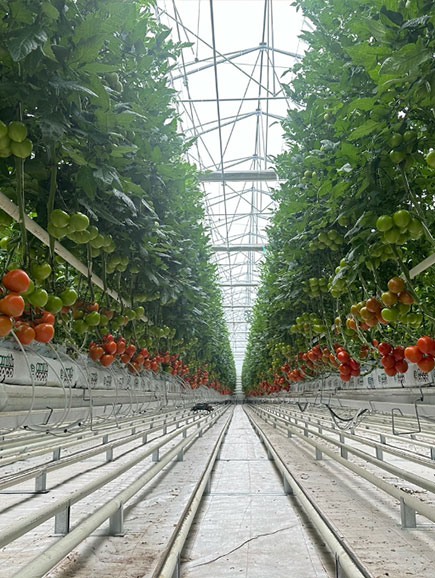 Karya Doğal Tarım Seracılık