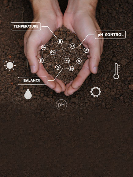 Karya Doğal Tarım Seracılık